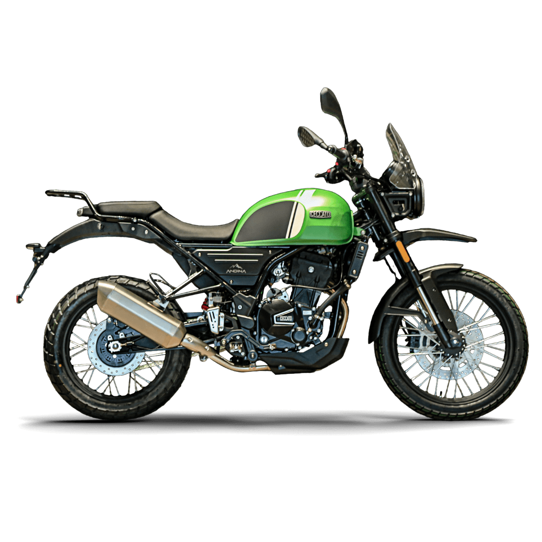 ZANELLA CECCATO 300 ANDINA