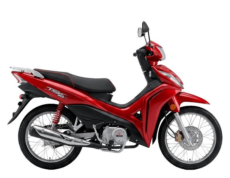OKINOI TANGO 110
